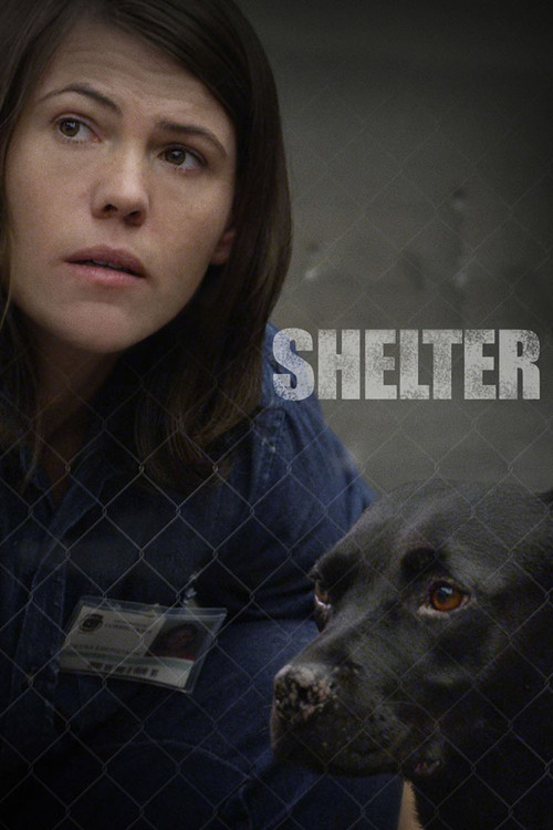 Shelter (2015) poster