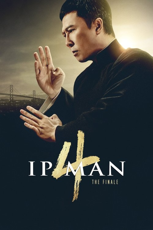 Ip Man 4: Final (2019) poster