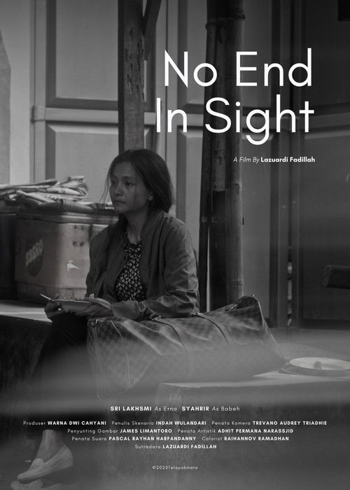 No End in Sight (2025) poster