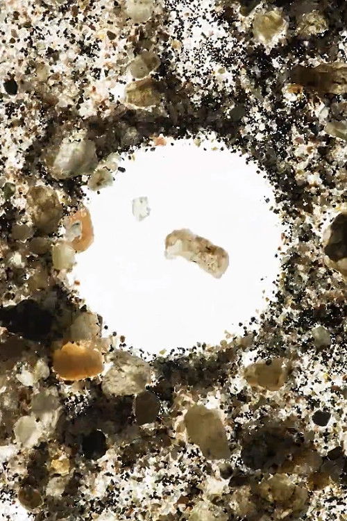 Coyote (2017) poster