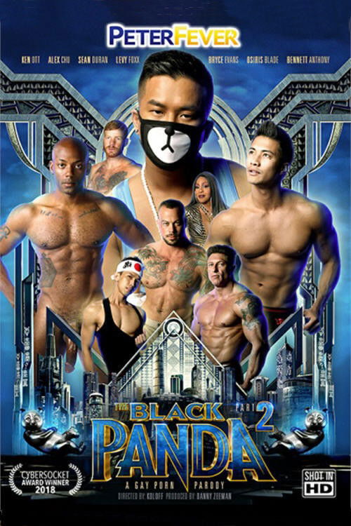 The Black Panda 2 (2019) poster