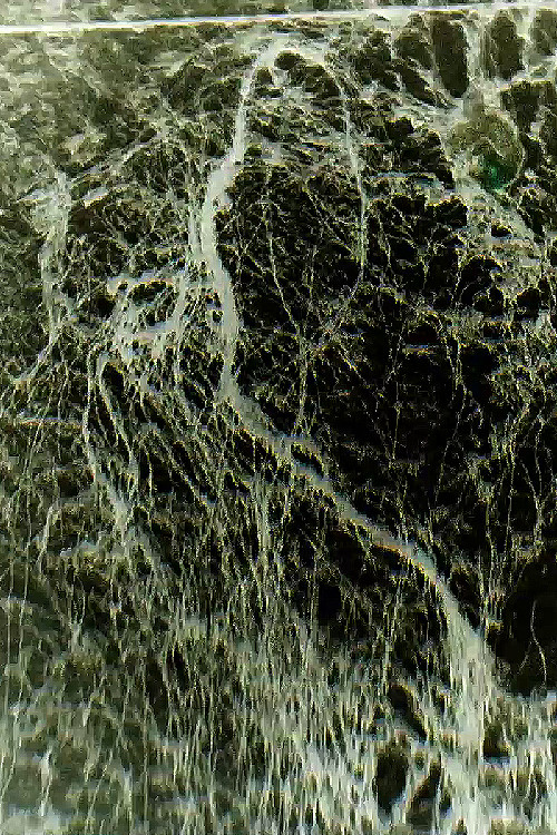 CLEARFILM (2019) poster