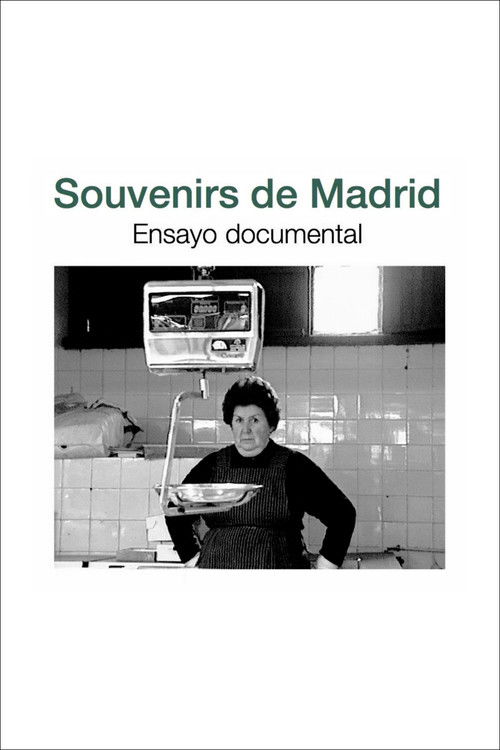 Souvenirs de Madrid (2008) poster