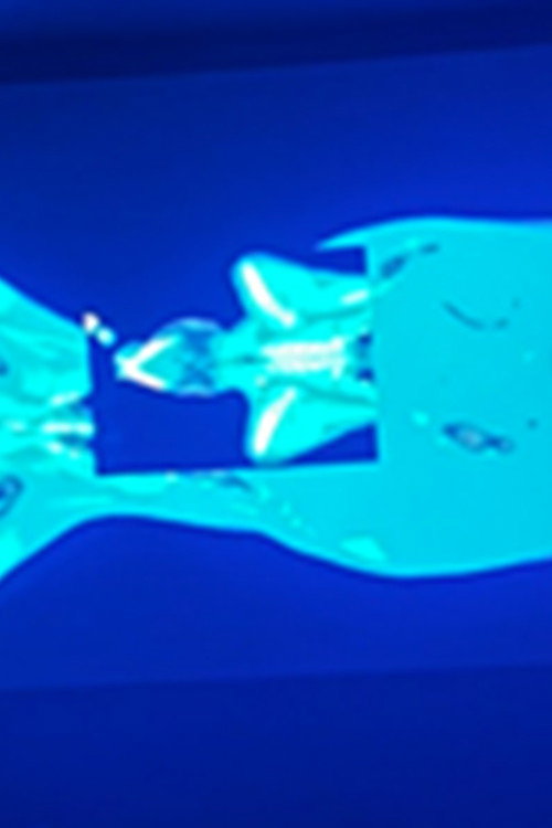 X-Ray Katx (2026) poster