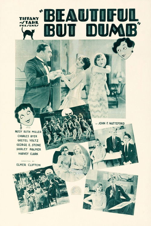 Beautiful But Dumb (1928) poster