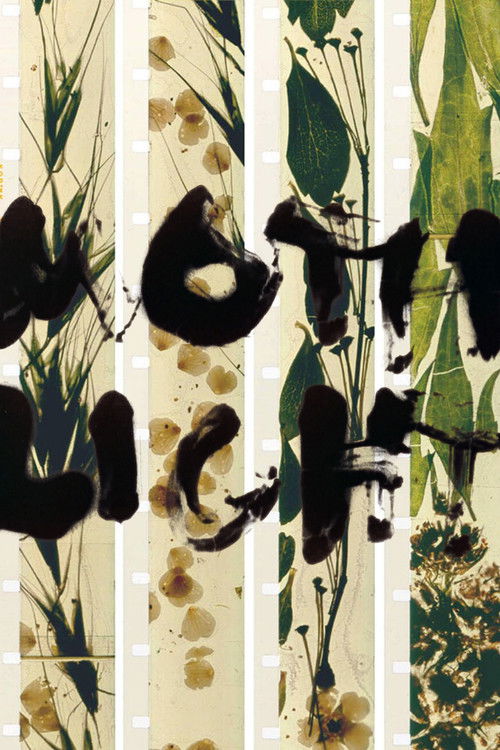 Mothlight (1963) poster