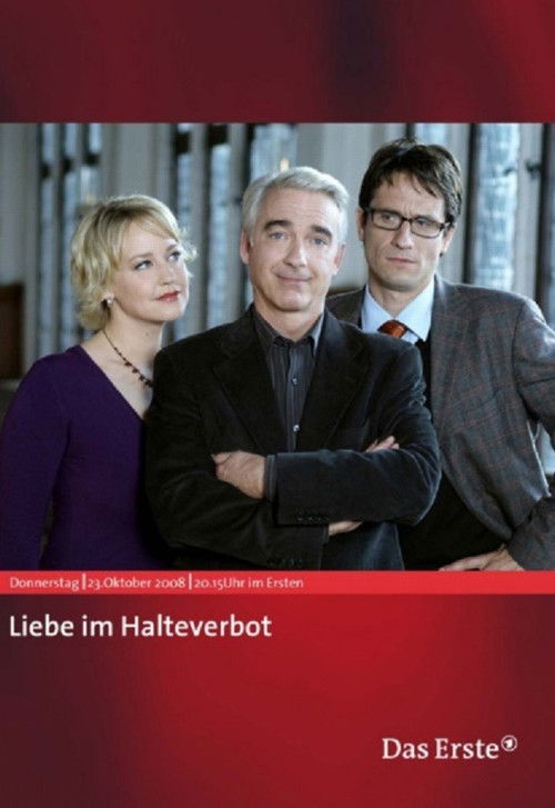 Liebe im Halteverbot (2008) poster