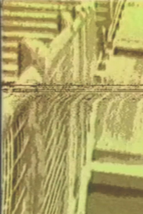 Very Funny (1987) poster