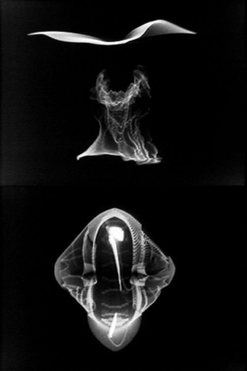 Videograms (1981) poster