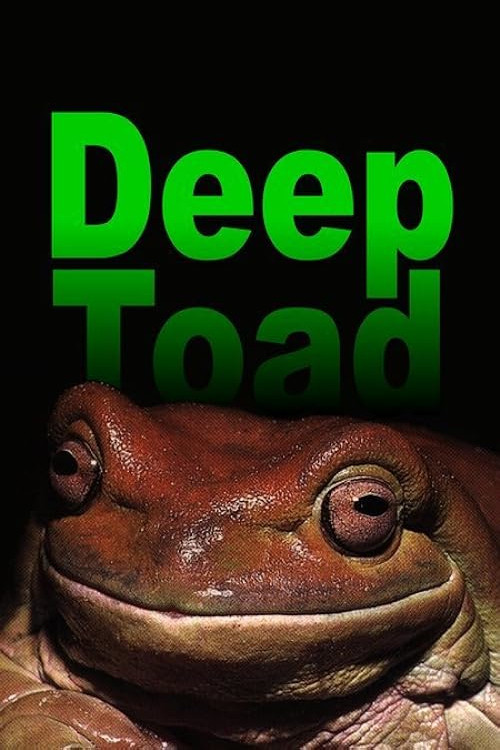 Deep Toad (2003) poster