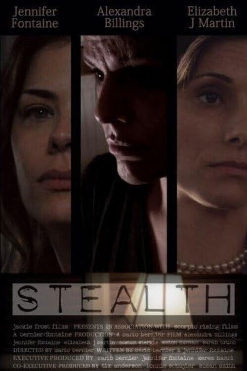 Stealth (2009) poster