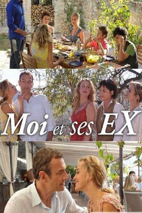 Moi et ses ex (2011) poster
