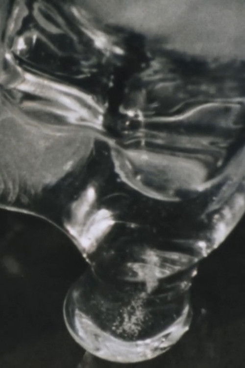 Laurel Fork (1978) poster