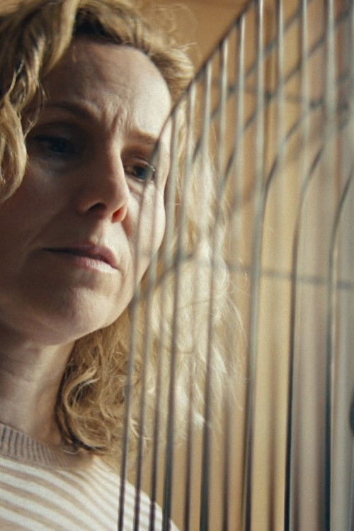 The Survivors Will Envy The Dead (2019) poster