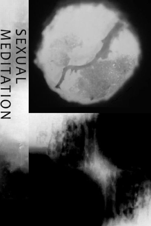 Sexual Meditation (2013) poster