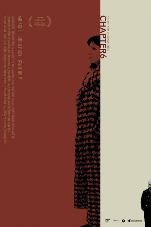 Chapter 6 (2025) poster