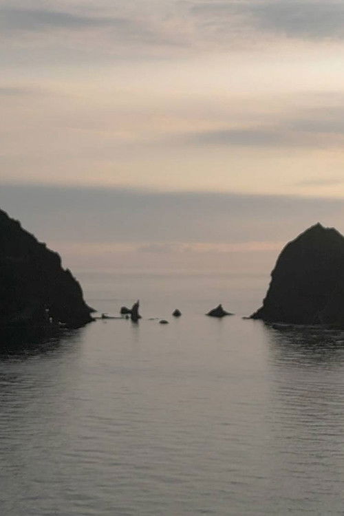 Sky, Wind, Stars and the Island (2025) poster