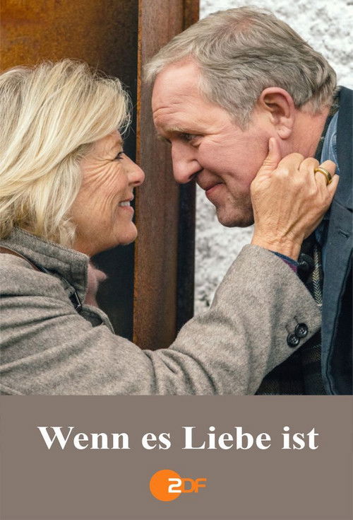 Wenn es Liebe ist (2016) poster