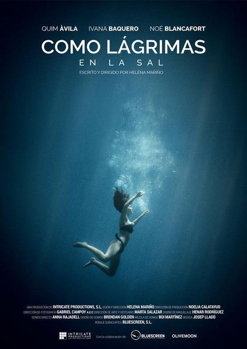 Como lagrimas en la sal (2016) poster