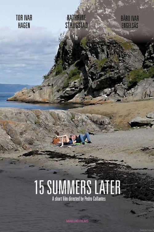 15 Summers Later (2011) poster