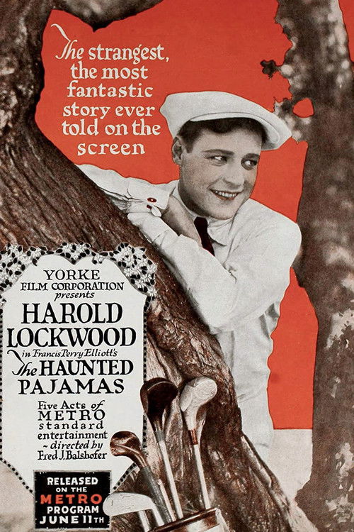 The Haunted Pajamas (1917) poster