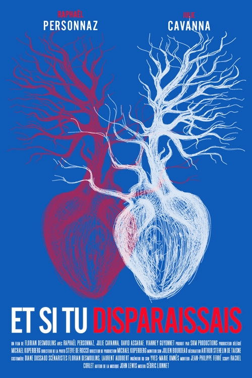 Et si tu disparaissais... (2008) poster