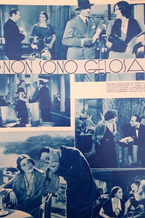 Non son gelosa (1933) poster