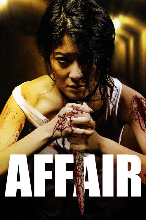 Affair: Permainan Cinta Yang Mematikan (2010) poster