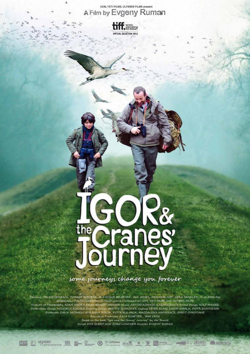 Igor & the Cranes' Journey (2012) poster