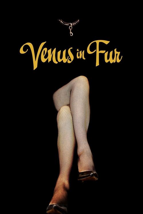 Kürklü Venüs (2013) poster