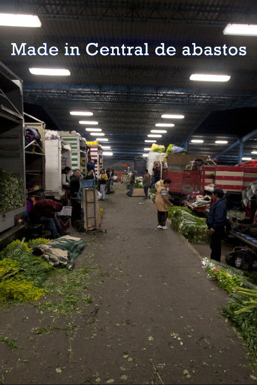 Made in Central de Abastos (2013) poster