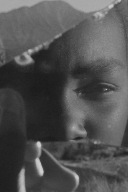 Extinction Story Origin Story (2024) poster