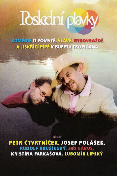 Poslední plavky (2007) poster