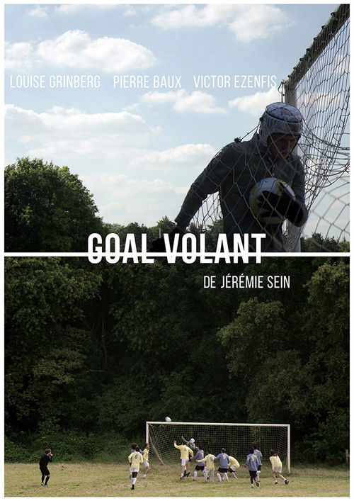 Goal Volant (2016) poster