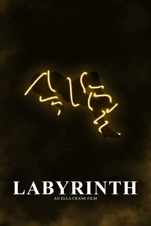 Labyrinth (2024) poster