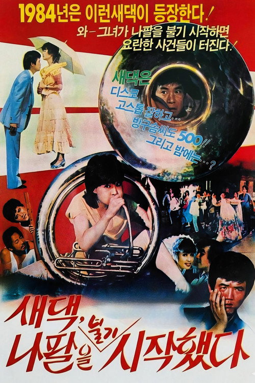 새댁 나팔을 불기 시작했다 (1984) poster
