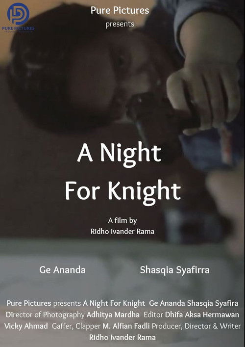 A Night For Knight (2021) poster