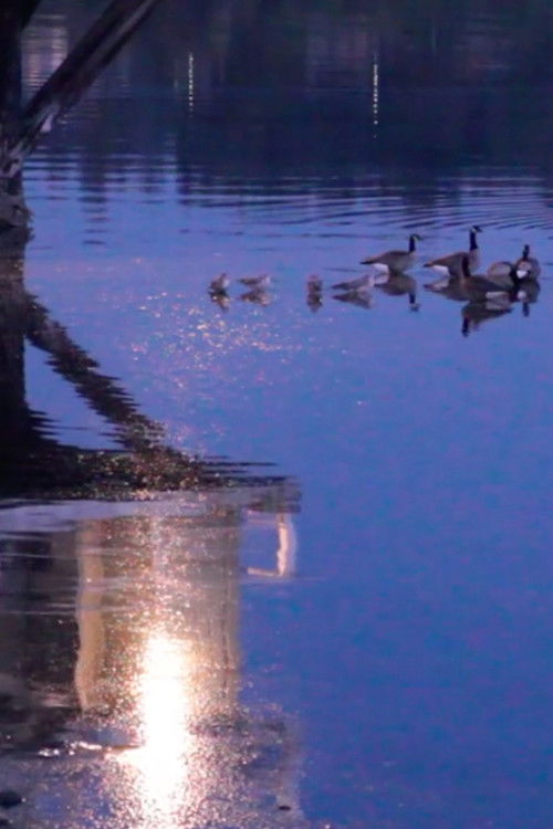 Waking in Real Time (2020) poster