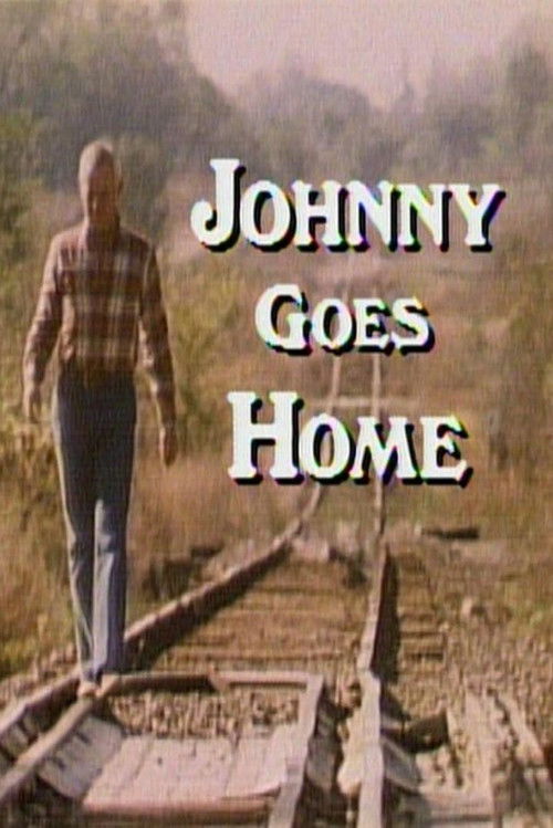 Johnny Goes Home (1982) poster