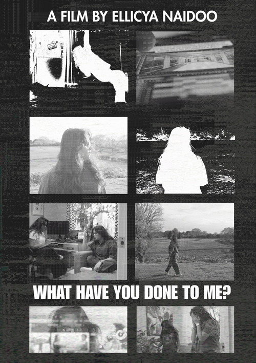 What Have You Done To Me? (2026) poster