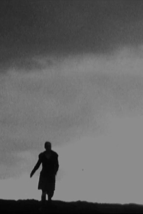 Passage (2008) poster