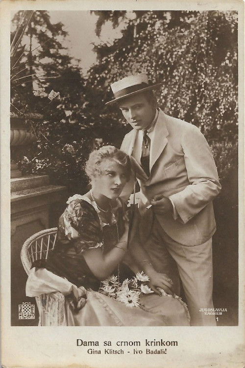 Lady in the Black Mask (1919) poster