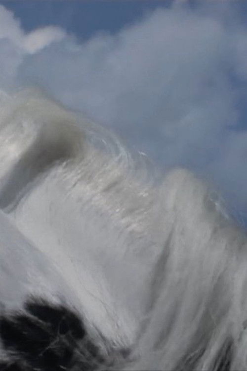 Maidenhair (2025) poster