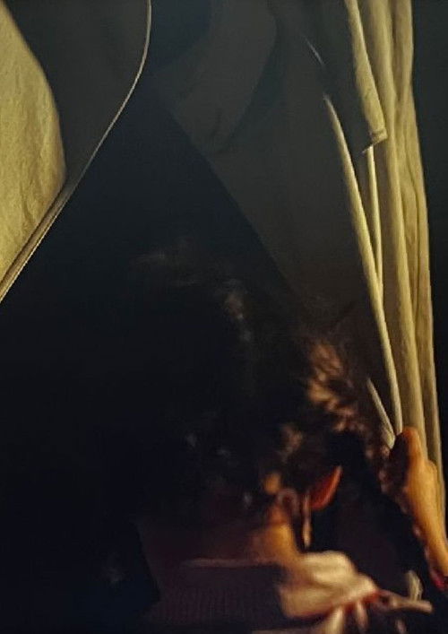 L'Ombra del Sac poster