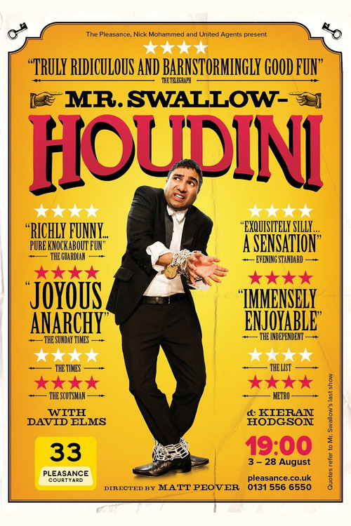Mr Swallow: Houdini (2017) poster