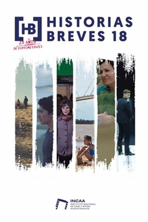Historias breves 18 (2019) poster