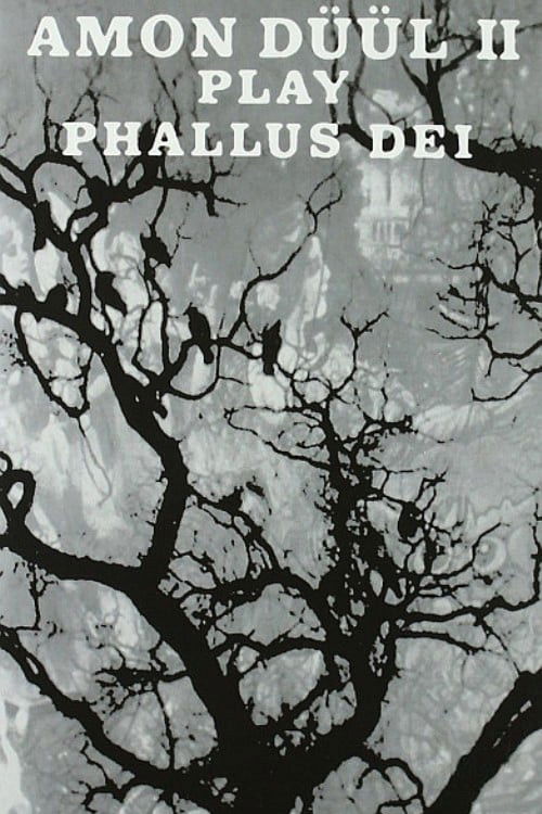 Amon Duul II: Plays Phallus Dei (1969) poster