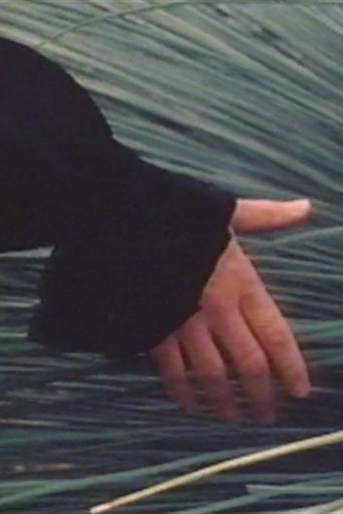 Trumpet Garden (1983) poster