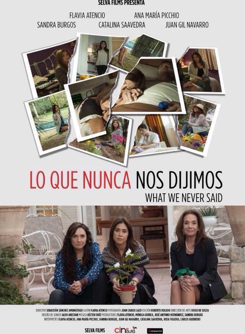 What We Never Said (2015) poster