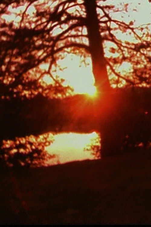 Imaginary Friend (1998) poster